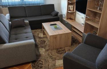 Apartmani MARIN-ŽUPANJA - Foto 2
