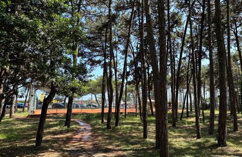 Lignano Pineta Apartment with pool - Foto 33