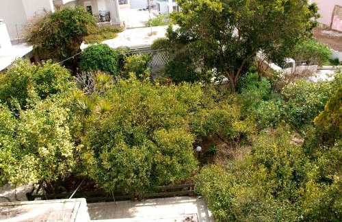 Popy Apartments - Foto 11