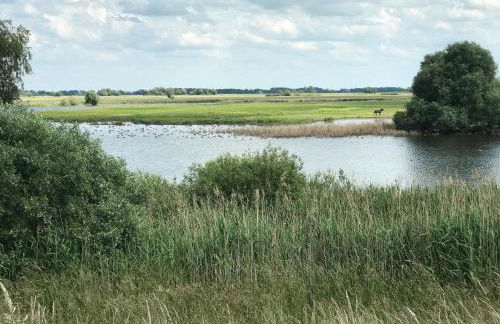 Historisches Haus Uhlenhorst - Foto 31