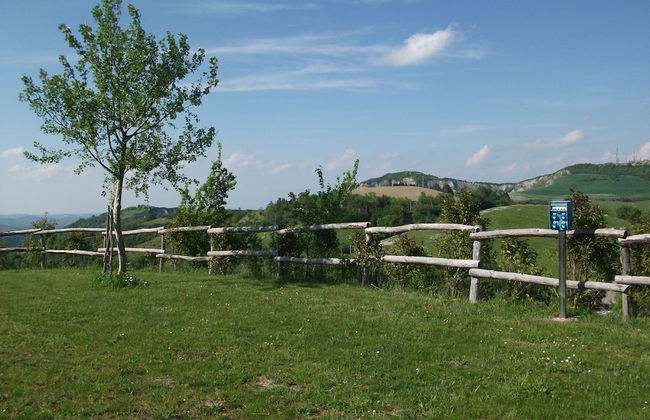 La Luna sul Trebbio - Photo 19