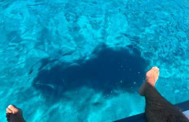 APPARTAMENTI BIANCANEVE by VILLA AUREA CAV - Photo 66