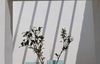 Vale D Sancho Eco Turismo - Foto 22