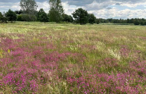 Domek nad Zalewem - Foto 42