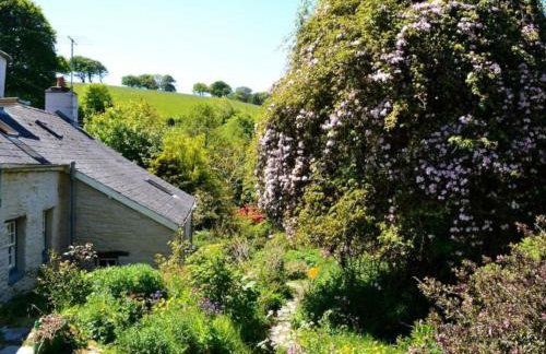Rhydyfantwn Fach Cottage, Cardigan - Foto 18