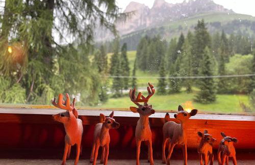 Splendida Carezza - Foto 5