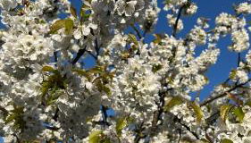 VILLA CATHY - Foto 4