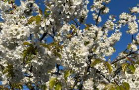 VILLA CATHY - Foto 12