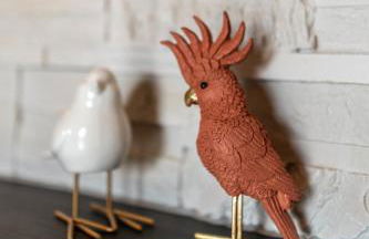 San Miniato - Terrazza panoramica in centro storico - Foto 13