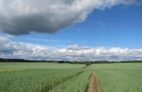 Ferienbungalows am Wolziger See - Foto 55