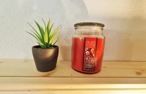 La Maladeta, T2, wifi, ascenseur, casier à skis, 4 personnes - Foto 15