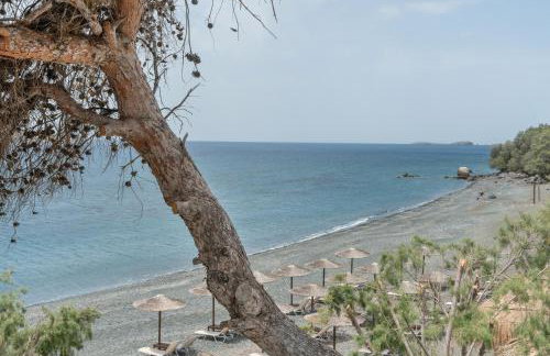 Niki's Studios Kalymnos - Foto 7