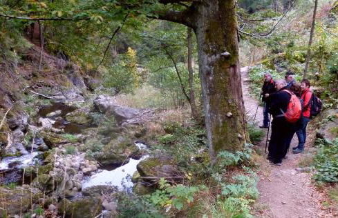 Seidl's Ilztalfewo - Foto 8