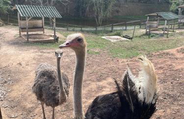 Solar dos Eucaliptos - Casa de Temporada - 4 Quartos - Foto 28