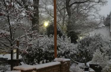 Ferienwohnung im Geyserhof - Foto 14