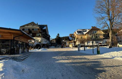 Ferienwohnung Waldrose am Titisee - Foto 25