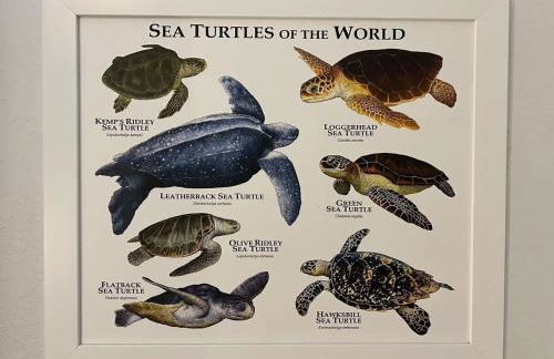 Wildlife Themed 4 Bd Pool Home Near Disney - Foto 20