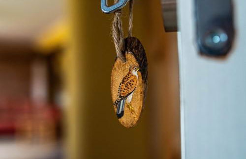 Falkenwohnung - Foto 1