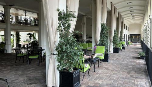 LimeGreen ORCHID - Foto 4