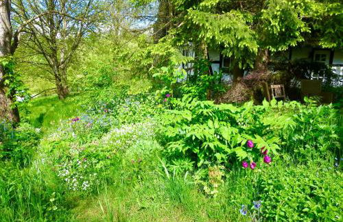 Natururlaub Frankenau - Foto 19