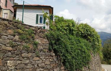 Low-mountain house with terrace and garden, near Lake Maggiore - Foto 33