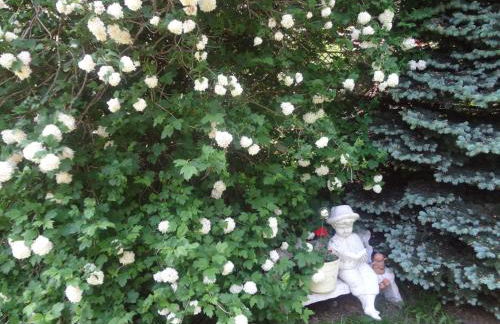 Alteschule15 - Foto 14