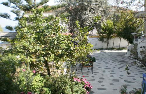 Sunrise Flora - Foto 33