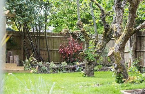 East Bank - Photo 45