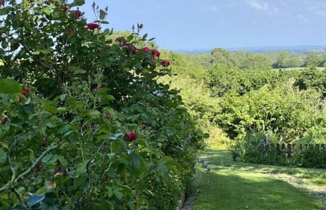 Cuddly Shell Modern Retreat - Foto 31