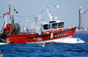 Maison Lallier - Foto 39