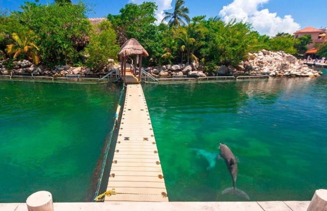 Modern Studio Puerto Aventuras 202 - Foto 7