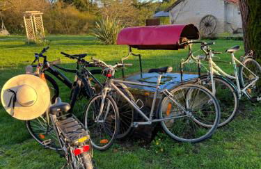 La Colline de Tilleul - Les Deux Puits - Cosy Cottage with swimming pool near Aubeterre - Foto 53