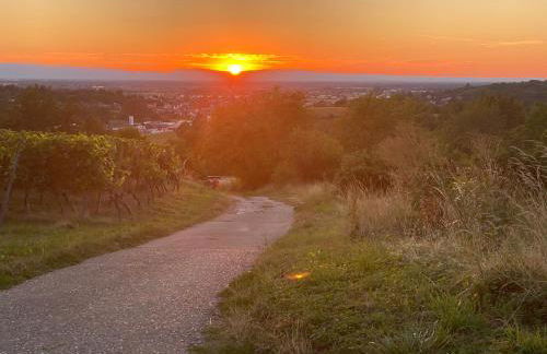 Casa Di Caro - Foto 66