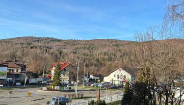 Apartament w Beskidach Niezapominajka przy stoku - Foto 3