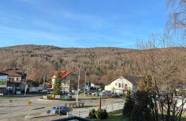 Apartament w Beskidach Niezapominajka przy stoku - Foto 3