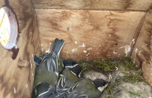 Le coin des amoureux - Foto 7