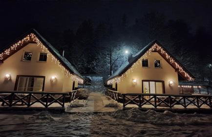 Domki Pod Jesionami - Foto 11