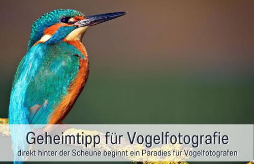 Landloft Linum - Ausgebaute Scheune mit Aussicht, Naturpool, Kamin, Sauna, Luxusausbau, handverlesene MidCentury Möbel & Kunst - Photo 78