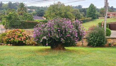 Las Parientucas - Foto 2