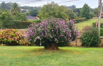 Las Parientucas - Foto 2