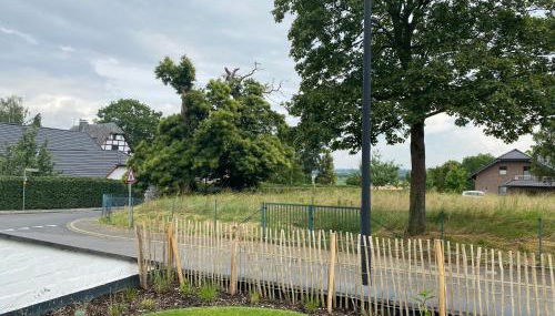 Apartment 'BB43' - 70qm mit Terrasse und kleinem Garten am Rande der Eifel - Foto 2, Garden