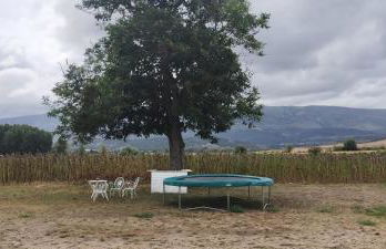 Algarabiastaying 3 granja San Julián - Foto 13