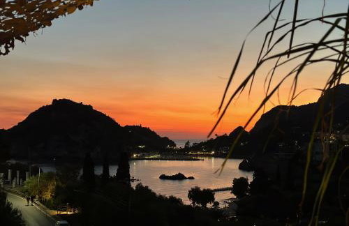 Tango Studios - Foto 20