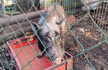 Ferienwohnung Noltenius - Foto 21