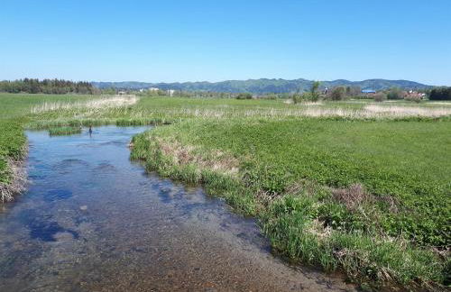 Ferienwohnung Nicole - Foto 14