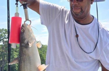 Lazy at Lake - Foto 22