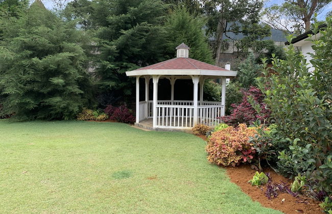 The Blossoms - Photo 8