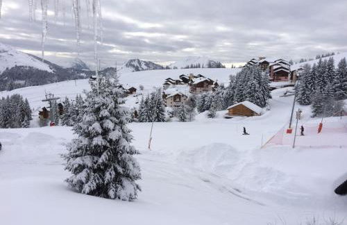 Apartment Manigod-L'Étale-La Clusaz skIs aux pieds - Foto 15