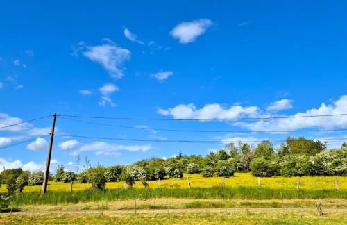 La Planchotte - Foto 19