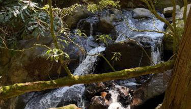 Cantinho da Inês Alojamento Local - Foto 4